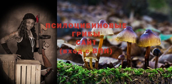 спиды Волоколамск