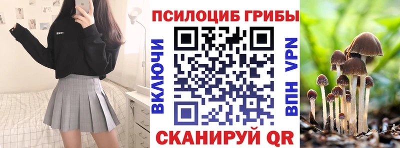 OMG маркетплейс  Благовещенск  Галлюциногенные грибы прущие грибы 